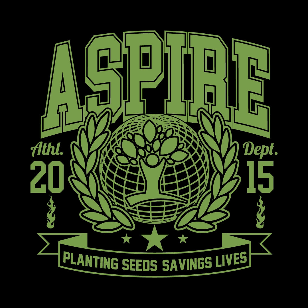 Aspire Black Pull-Over Hoodie